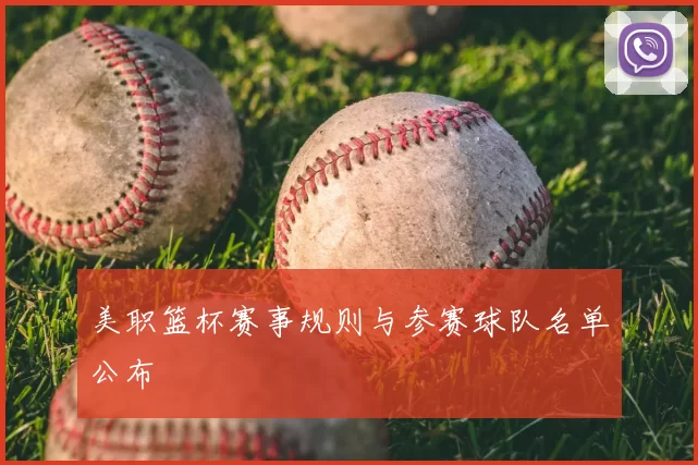 美职篮杯赛事规则与参赛球队名单公布