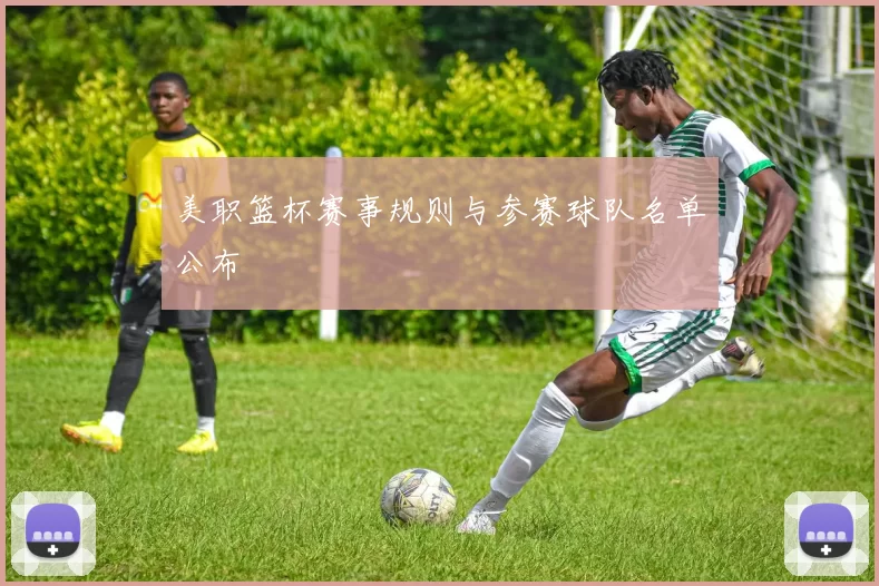 美职篮杯赛事规则与参赛球队名单公布