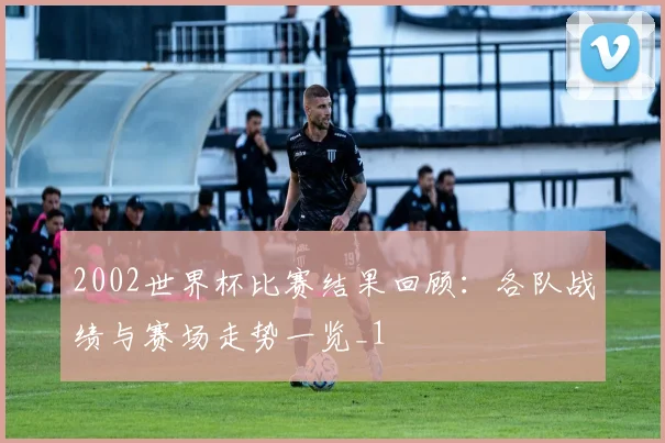 2002世界杯比赛结果回顾：各队战绩与赛场走势一览_1