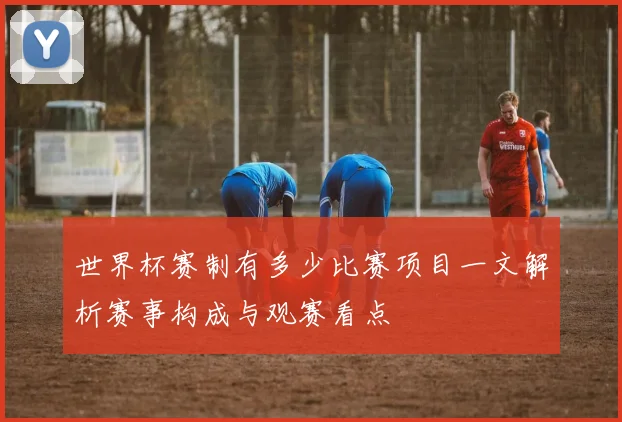 世界杯赛制有多少比赛项目一文解析赛事构成与观赛看点